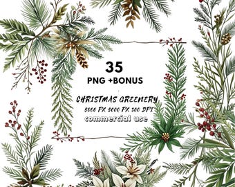Watercolor christmas clipart bundle holiday book - winter greenery PNG - festive digital download