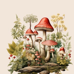Clipart champignons aquarelle des bois, champignon vénéneux automne Thanksgiving, automne forêt champignon Clipart automne champignon Cottagecore PNG