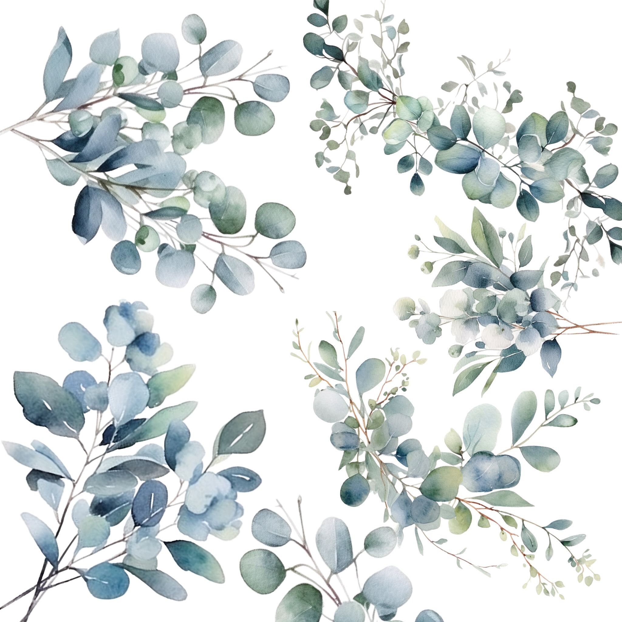 Eucalyptus Watercolor Clipart Bundle Baby Blue Watercolor Seeded ...