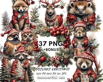 Woodland Christmas Animals Clipart – Watercolor PNG Images (Digital Download)