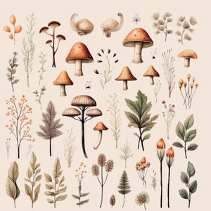 Aquarelle champignon PNG champignon vénéneux cottagecore clipart automne forêt champignon Clipart champignon automne boisé botanique