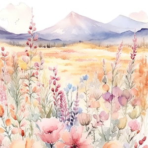 Fiori di campo PNG Piante selvatiche in fiore Clipart bundle Acquerello Mazzi di fiori selvatici Fiore Campo di papaveri Invito a nozze commerciale