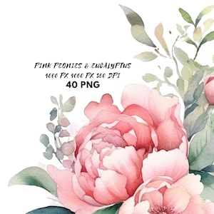 Rosa Aquarell Pfingstrose Dusty Rose Floral Eukalyptus Clipart Bundle Blush Peonies Eukalyptus Border Kranz Strauß PNG Greenery Hochzeit