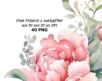 Pink Watercolor peony Dusty rose Floral Eucalyptus clipart bundle Blush Peonies Eucalyptus Border wreath bouquet PNG Greenery Wedding