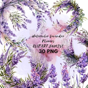 Lavender Flowers Wreath Clipart Bouquets Borders Watercolor Flowering wild plants PNG bouquets Wedding Invitation  commercial PNG bundle