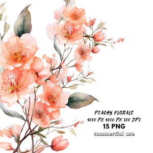 Könnte beinhalten: Aquarellmalerei von pfirsichfarbenen Blüten auf einem Zweig mit grünen Blättern. Das Bild trägt den Titel "Peachy Florals" und enthält den Text "4000 PX 4000 PX 300 DPI 15 PNG commercial use".