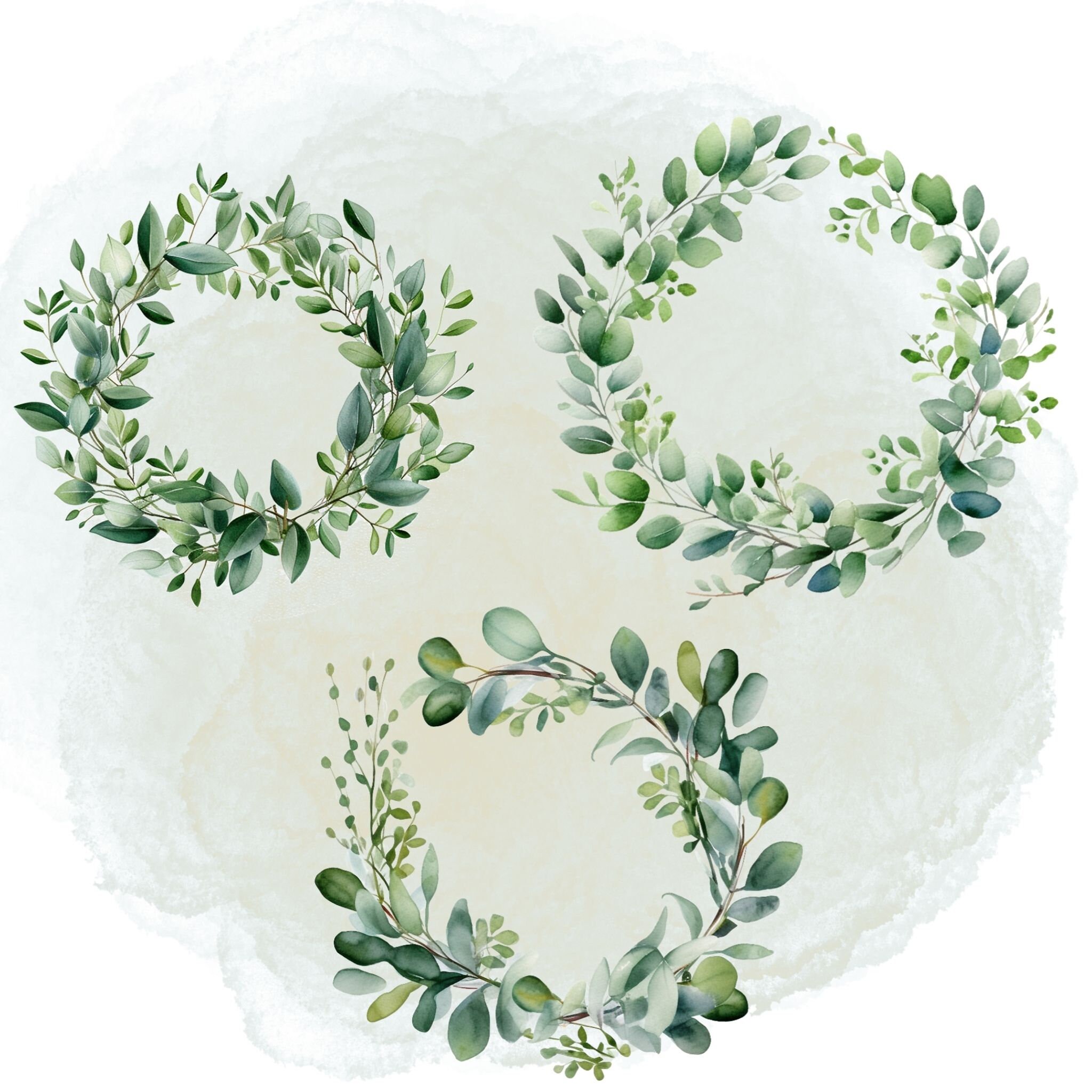 Baby Blue Watercolor Eucalyptus Png Eucalyptus Watercolor Clipart Green ...
