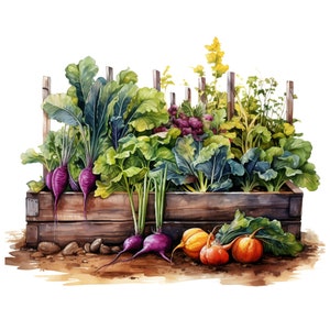 Gartenarbeit Clipart Bundle Plantlover Gartenwerkzeuge PNG Gartengrafik Aquarell Rahmbeet Gemüse Junk Journal Scrapbooking