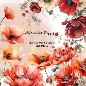 Clipart coquelicot fleur d'été aquarelle rouge Floral mariage Png faire-part de mariage bricolage commercial Bundle fleurs sauvages mariage Clip art