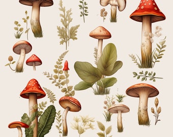 Commercial Use | Fantasy Clipart | Instant Download | Mushrooms Clipart | Transparent Backgrounds | Toadstool Graphics | Mushroom Bundle