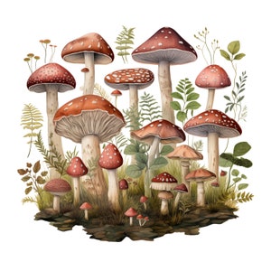 Aquarelle automne champignons champignons champignon Thanksgiving forêt forêt automne automne PNG PNG