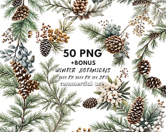 Watercolor Pine Branch Clipart - Christmas Decor - Winter Clipart - Digital Download for Holiday Projects