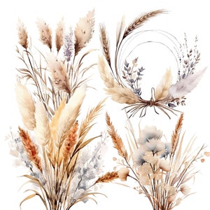 Clipart di erba della pampa - Acquerello Boho Floral - PNG botanico neutro - Download immediato per matrimoni
