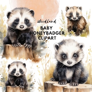 Honeybadger Woodland baby shower clipart Honey badger  Watercolor Baby shower  sign Stationary clipart Commercial use  Baby animal PNG