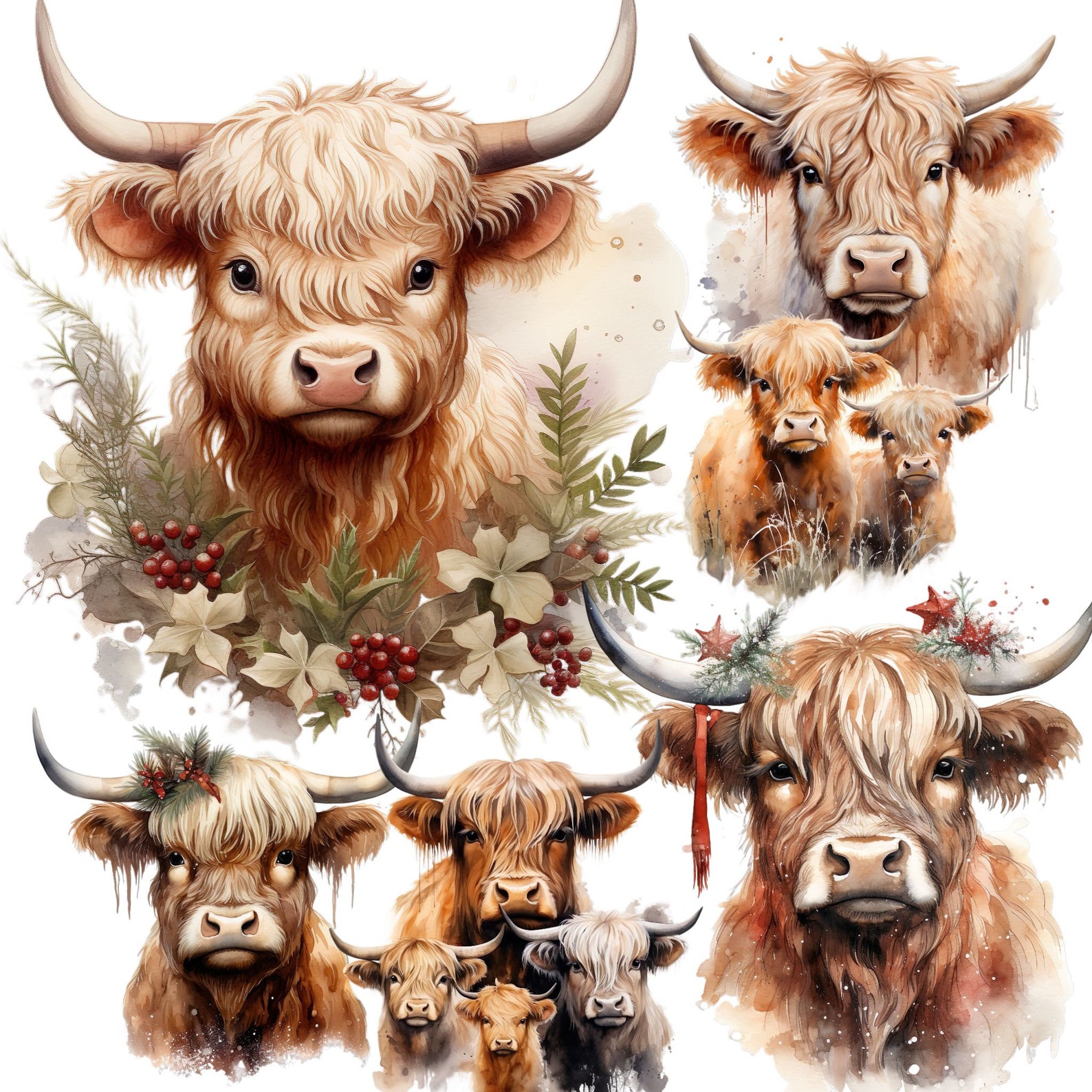 145 Highland Cow Clipart Mega Bundle Baby Family Highlandcow SVG ...