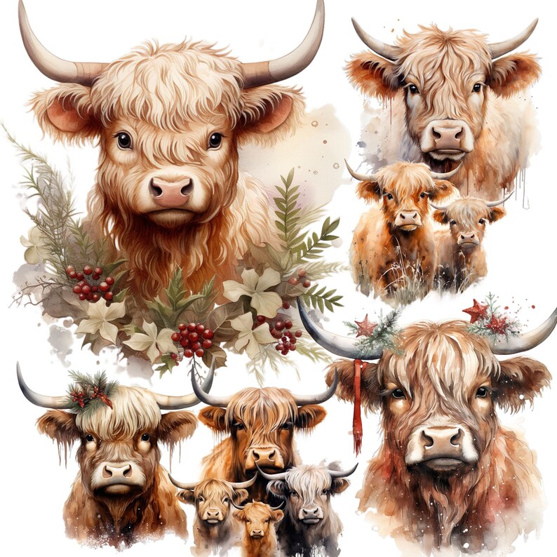 145 Highland Cow Clipart Mega Bundle Baby Family Highlandcow SVG ...