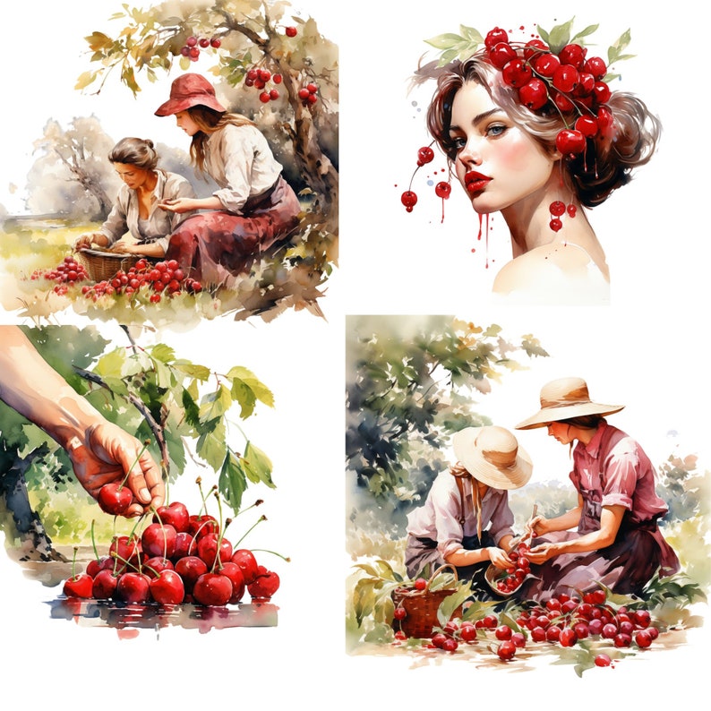 Cherry Watercolor Clipart Cherry Flower Fruit Png Pink Blossom Cherry