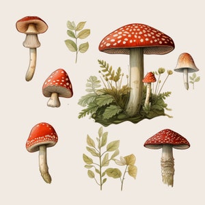 Champignons magiques de la forêt enchantée | Champignon magique de la forêt boisée | Forêt PNG | Champignon bohème | Clipart forêt | Téléchargement numérique |