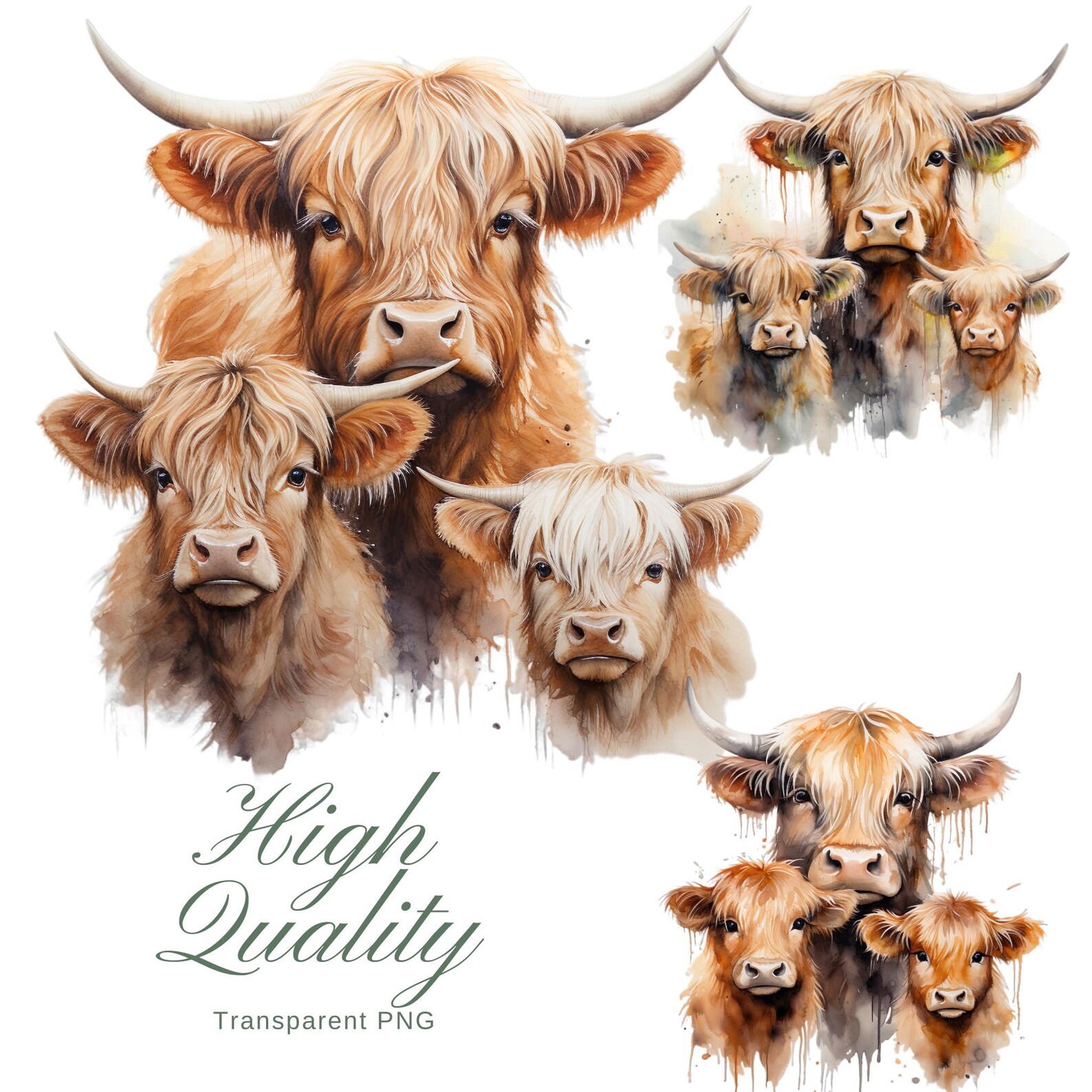 Highland Cow Family Clipart Buffalo PNG Bundle Watercolor Cute Scottish ...