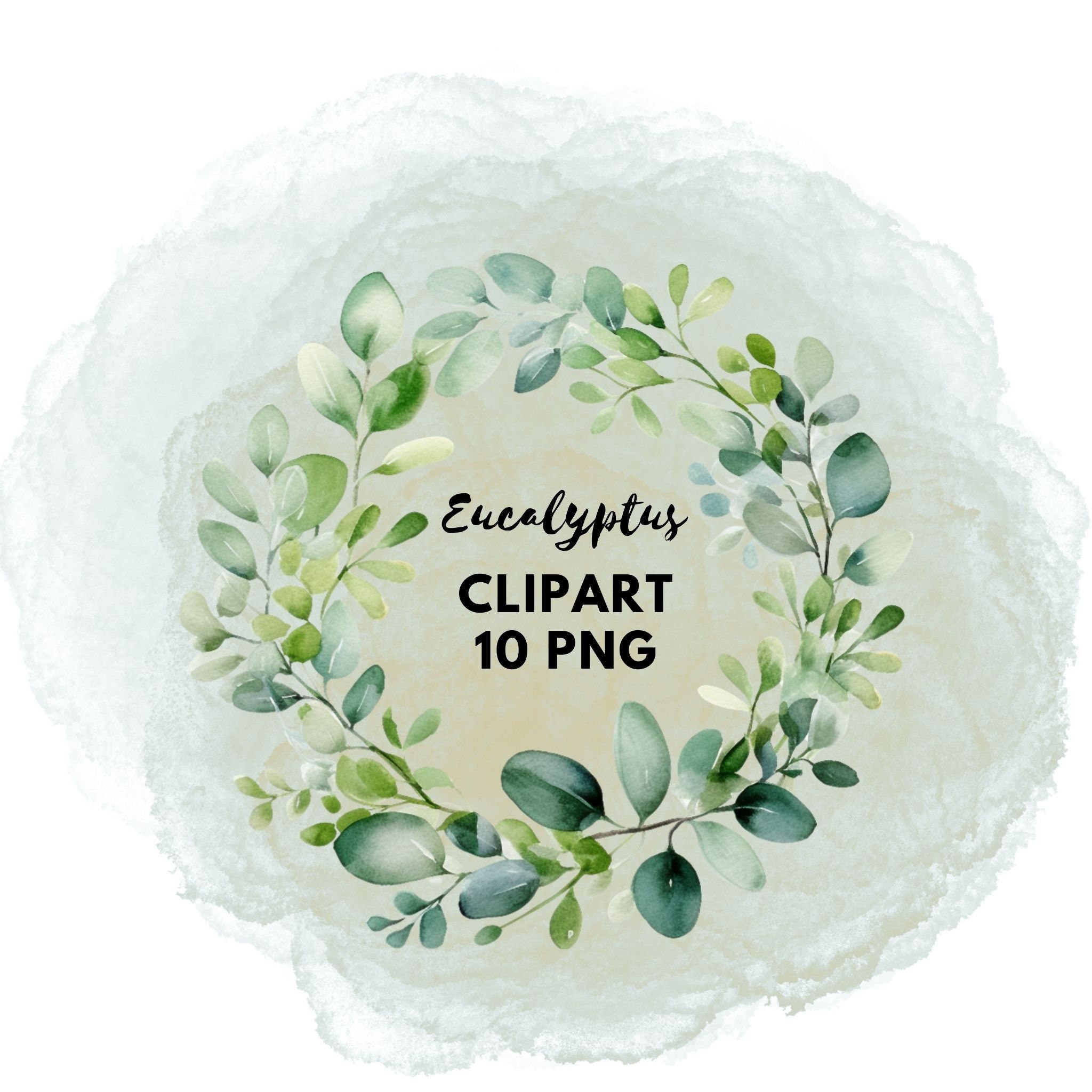 Baby Blue Watercolor Eucalyptus Png Eucalyptus Watercolor Clipart Green ...