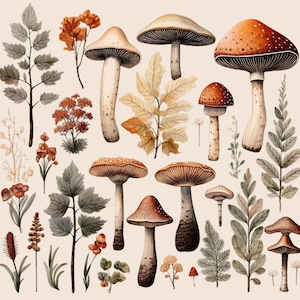 Clipart champignon aquarelle champignon vénéneux automne cliparts d'action de grâces forêt d'automne champignon automne forestier PNG