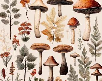 Mushroom clipart Watercolor Toadstool  Fall  Thanksgiving Clipart  Fall Forest Fungus  Woodland  Autumn  PNG