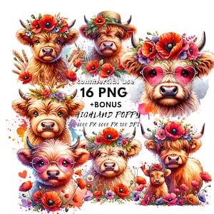 Clipart de papoula de vaca das montanhas | Fabricação de cartões | Cara de Vaca png | Arte do berçário | Clipart de vaca floral | Highlandcow png |  Pacote Fofo De Vaca Highland Png