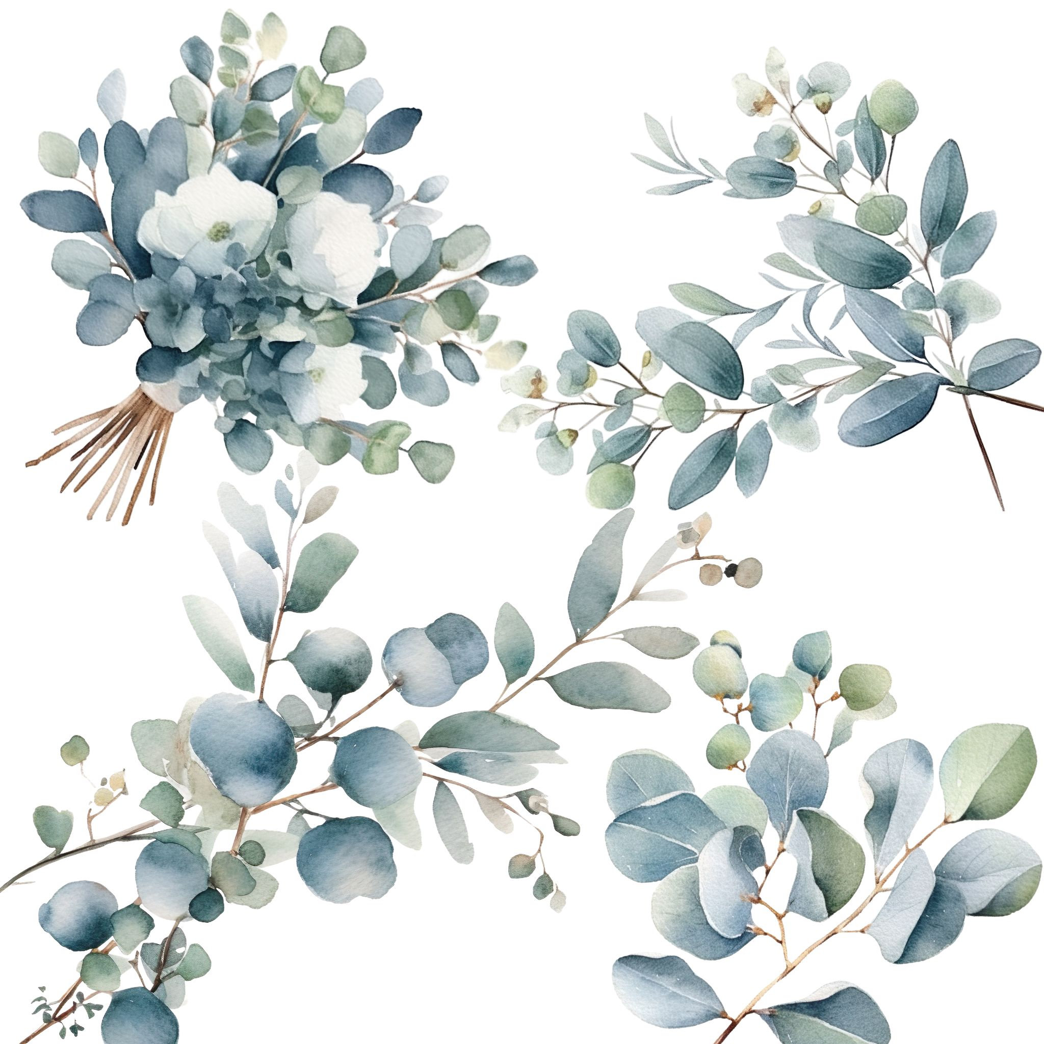 Eucalyptus Watercolor Clipart Bundle Baby Blue Watercolor Seeded ...
