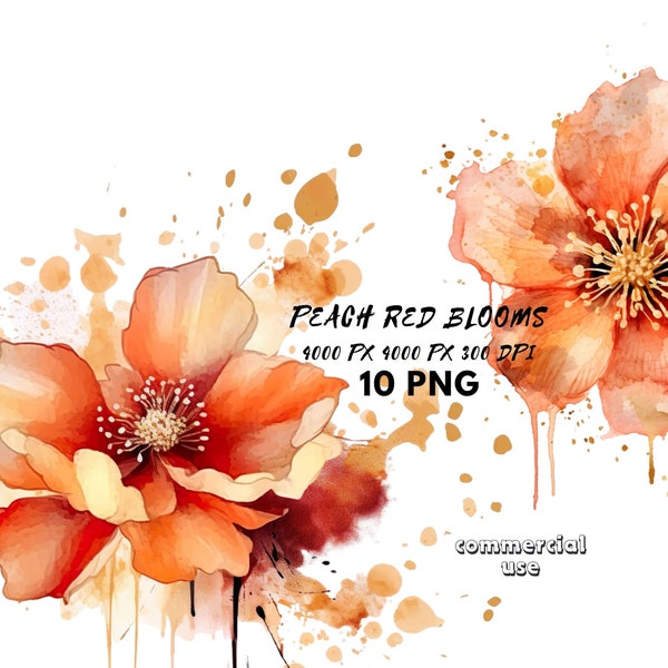 Watercolor Peachy Floral Clipart Bloom PNG Blush Flowers Orange Floral Wedding Clipart High Quality PNGs, Digital download, Paper craft