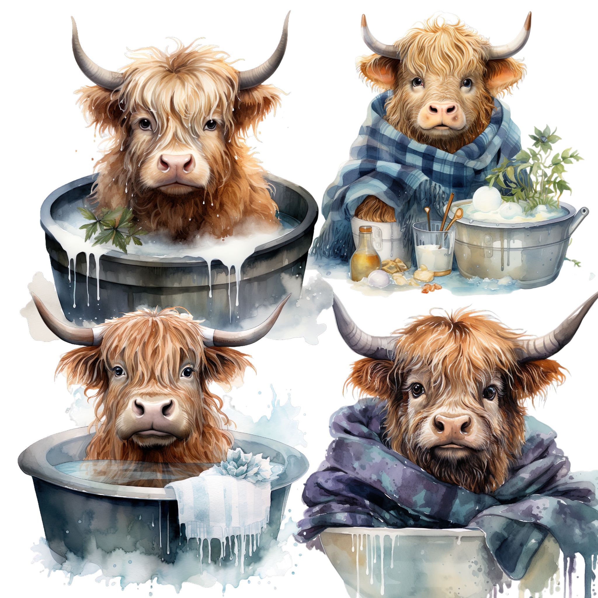 145 Highland Cow Clipart Mega Bundle Baby Family Highlandcow SVG ...