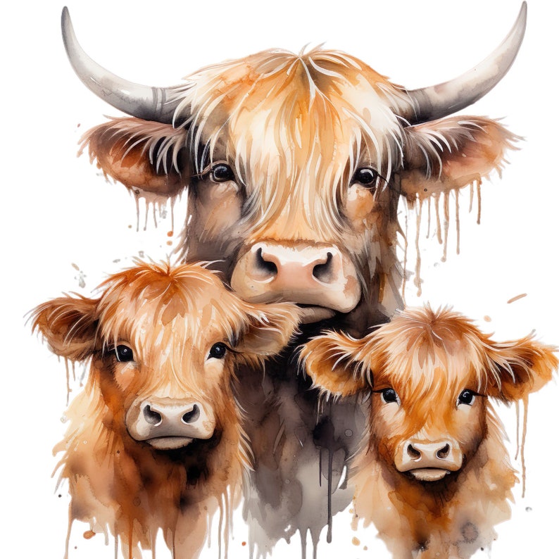 Highland Cow Family Clipart Buffalo PNG Bundle Watercolor Cute Scottish ...