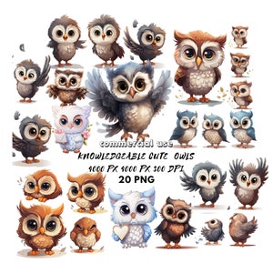 Animated cartoon Cuteness owl Clipart Kawaii brown and white owls in digital sticker style Cute bird cartoon Sublimation Digital Download