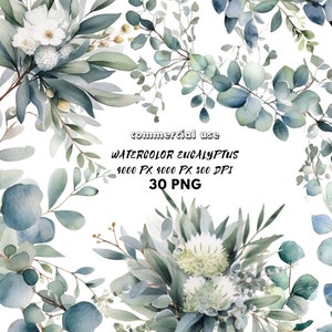 Pacchetto di clipart dell'acquerello di eucalipto Baby Blue acquerello seminato eucalipto confine ghirlanda bouquet PNG verde Clipart foglia verde fogliame