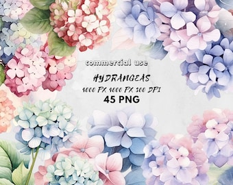 Boho chic hortensia aquarel bruiloft bundel - stoffige roze rood blauwe bloemen PNG-elementen - DIY-uitnodiging, rand, krans