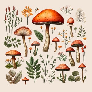 Champignons aquarelle champignon vénéneux clipart automne Thanksgiving Clipart forêt champignon forêt automne clipart PNG