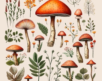 Mushrooms Watercolor Toadstool  clipart  Fall Thanksgiving Clipart  Forest Fungus Woodland  Autumn Clipart  PNG