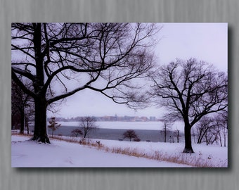 Winter Skyline Madison Wisconsin Photograph | Olin Park Lake Monona Skyline Photography | Metal Canvas and Paper Prints in Several Sizes