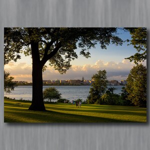 May include: Scenic landscape photograph featuring a park with a large tree in the foreground, casting a long shadow on the green grass. A lake and city skyline are visible in the background, under a cloudy sky.