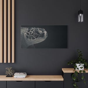 Sea Turtle Fine Art Print – Minimal Ocean Animal Photography – Black and White Digital Wall Art