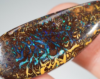 May include: A polished, teardrop-shaped opal with a rich, brown base colour. The stone displays vibrant flashes of blue, green, and yellow, creating a unique, iridescent pattern. The opal is held by a person's fingers.