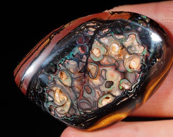 May include: A polished gemstone with a complex pattern of colors. The stone features a mix of brown, black, and iridescent hues, with a central area of cream and green. The surface is smooth and reflective.