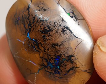 Opale boulder de 25,2 carats, pierre polie 23 x 17 (mm)