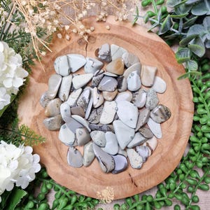 Porcelanite Tumbled Stone, Crystal Gemstone Polished Natural High Quality Grade Mineral Rock Poland Inner Structure Quiet Power Earth Memory