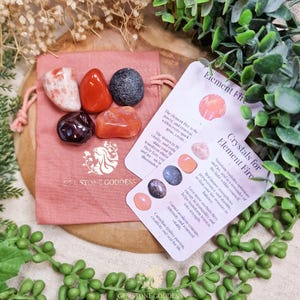 May include: A selection of polished gemstones in shades of red, orange, and black, displayed in a pink drawstring bag. The bag is labelled "GEM STONE GODDESS". Information cards detail the stones' properties. Green foliage surrounds the display.