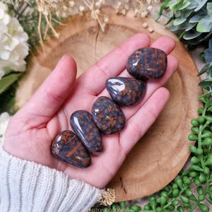 May include: Five polished gemstones with a speckled pattern of brown and orange on a dark blue background. The stones are smooth and oval-shaped, held in a hand. The Gemstone Goddess logo is visible at the bottom.