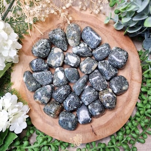 Preseli Bluestone Tumbled Stone, Crystal Gemstone Polished Natural High Quality Grade Mineral Rock Wales Grounding Ancestral Wisdom Strength