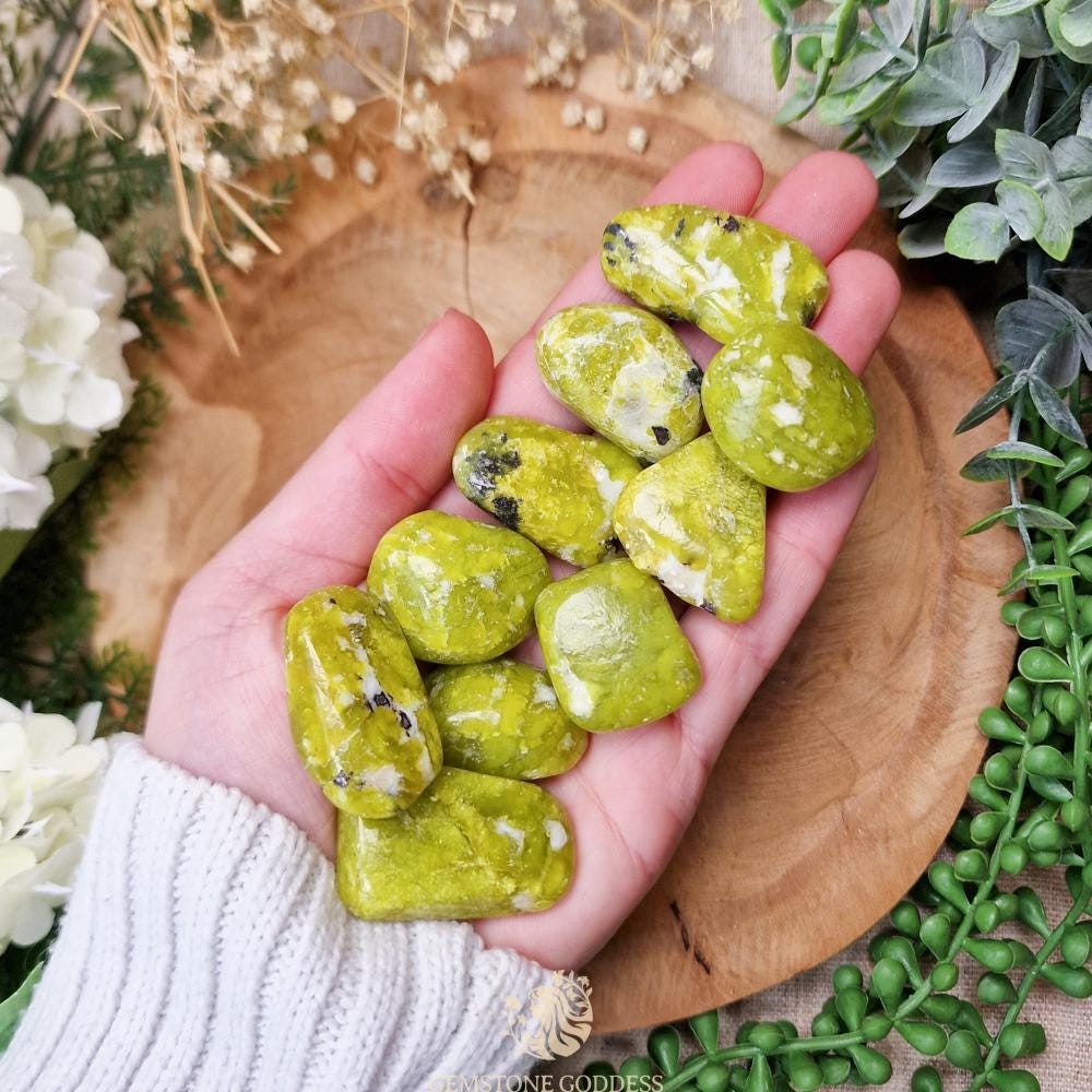 Lizardite Tumbled Stone, Crystal Gemstone Polished Natural High