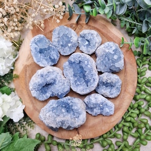 Puede incluir: Una colección de racimos de cristales de celestita azul claro dispuestos sobre una superficie de madera redonda. Los cristales tienen un exterior rugoso y texturizado y un interior cristalino. La disposición está rodeada de vegetación y flores blancas, creando una estética natural.
