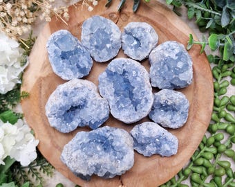 May include: A collection of light blue celestite crystal clusters arranged on a round wooden surface. The crystals have a rough, textured exterior and a crystalline interior. The arrangement is surrounded by greenery and white flowers, creating a natural aesthetic.