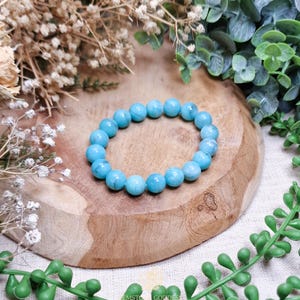 Petrified Wood Bracelet 10mm | Grounding Stability Ancient Wisdom
